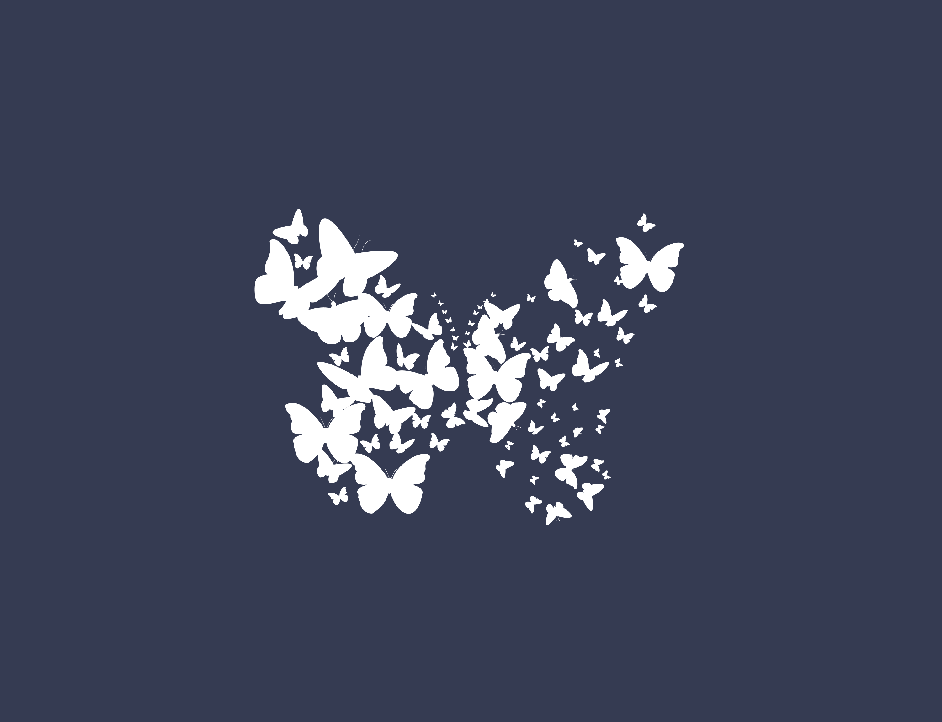 Butterfly Logo